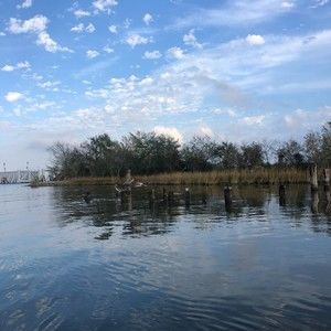 Meet your Posher, Marc